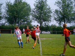 0DIA 1984 RAVA B1